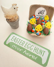 Load image into Gallery viewer, CHICKEN LITTLE ✨🐥